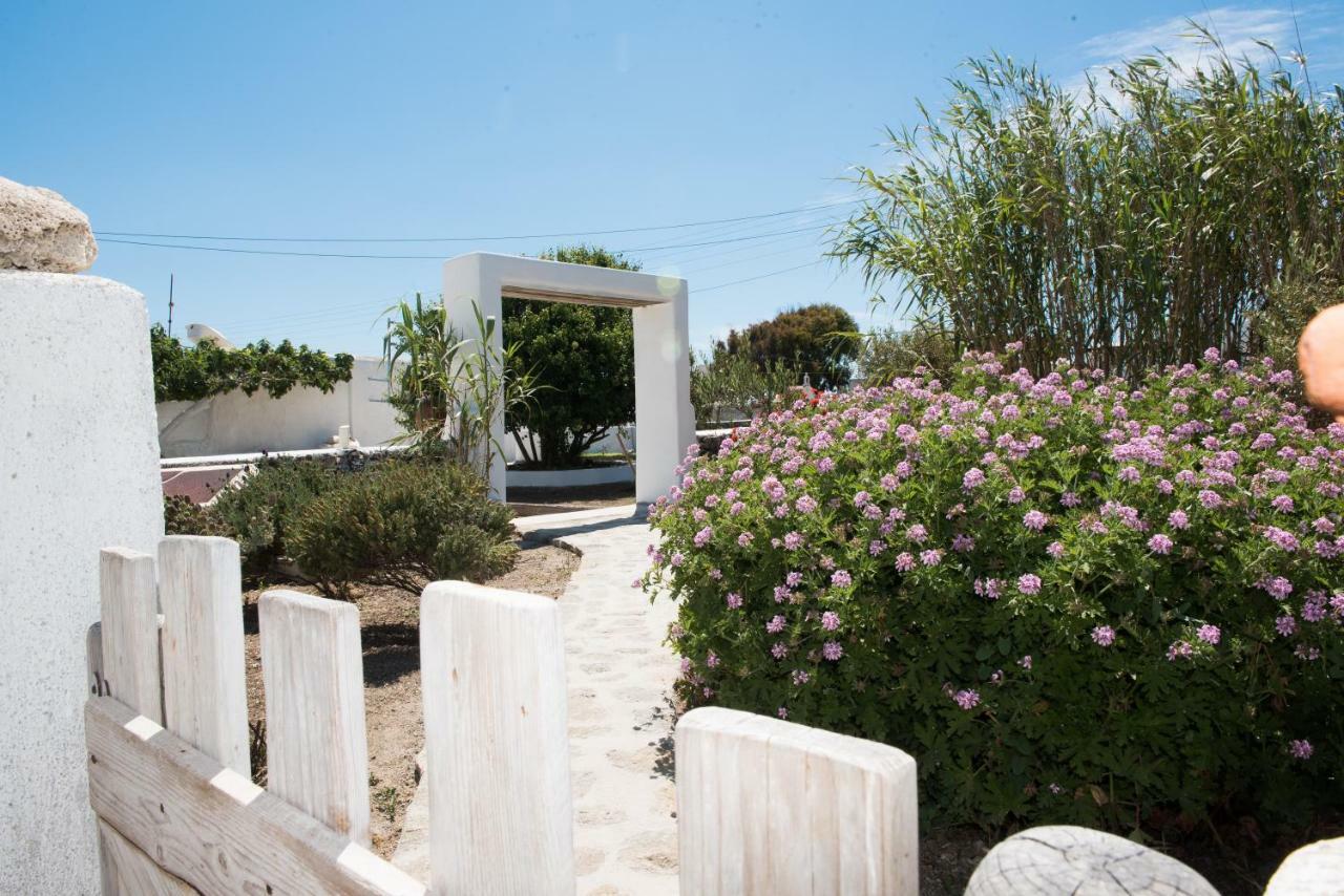 Aloni Studios Ano Mera Exteriér fotografie